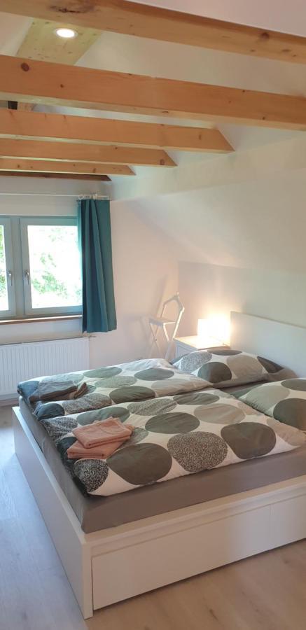 Villa Fliederhaus Dresda Esterno foto